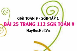 Giải bài 25 trang 112 SGK Toán 9 tập 1